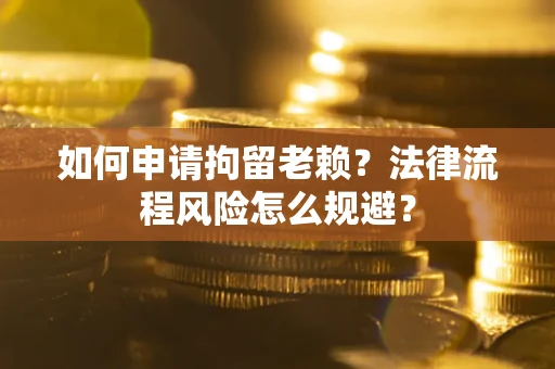 武汉如何申请拘留老赖？法律流程风险怎么规避？