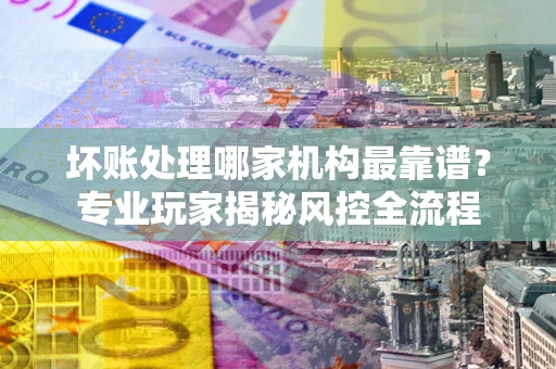武汉坏账处理哪家机构最靠谱？专业玩家揭秘风控全流程