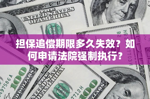 武汉担保追偿期限多久失效？如何申请法院强制执行？