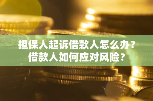 武汉担保人起诉借款人怎么办？借款人如何应对风险？
