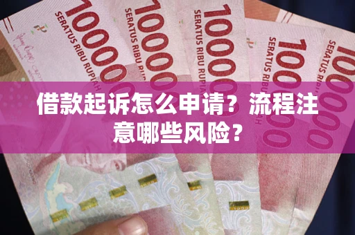武汉借款起诉怎么申请？流程注意哪些风险？