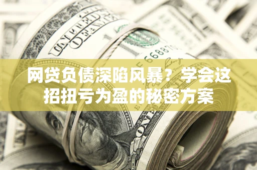 武汉网贷负债深陷风暴？学会这招扭亏为盈的秘密方案